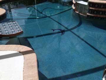 Regardless of how bad your pool may look, we can get it looking fantastic again!